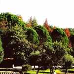 Сasa de vacaciones Quinta De S. Vicente 317