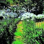 Quinta De S. Vicente 317 Vila Nova de Famalicão