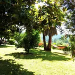 Quinta De S. Vicente 317 Tatil Evi *