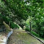 Quinta De S. Vicente 317 Nyaraló Vila Nova de Famalicão
