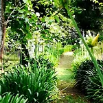 Quinta De S. Vicente 317