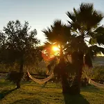 Quinta De S. Vicente 317 Nyaraló Vila Nova de Famalicão