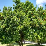 Nyaraló Quinta De S. Vicente 317 Vila Nova de Famalicão