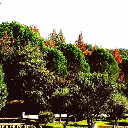 Feriehus Quinta De S. Vicente 317