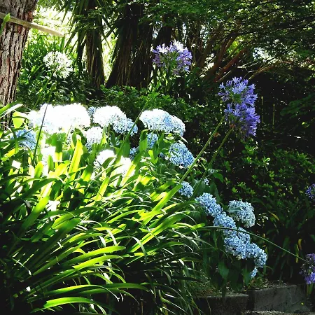 Quinta De S. Vicente 317 Vila Nova de Famalicão