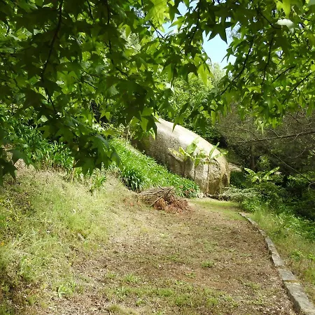 Quinta De S. Vicente 317 * 빌라노바데파말리카오