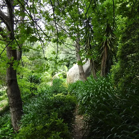 Feriehus Quinta De S. Vicente 317