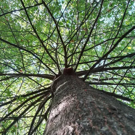 Quinta De S. Vicente 317 Vila Nova de Famalicão