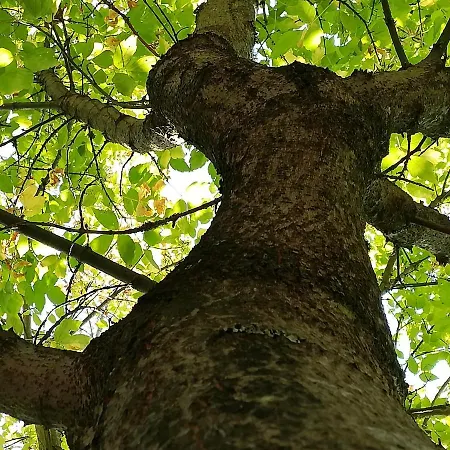 Quinta De S. Vicente 317 Feriehus Vila Nova de Famalicão