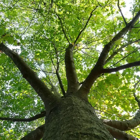 Quinta De S. Vicente 317 Feriehus *