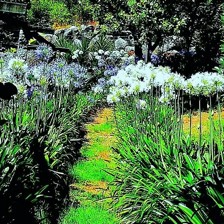 Quinta De S. Vicente 317 Vila Nova de Famalicão