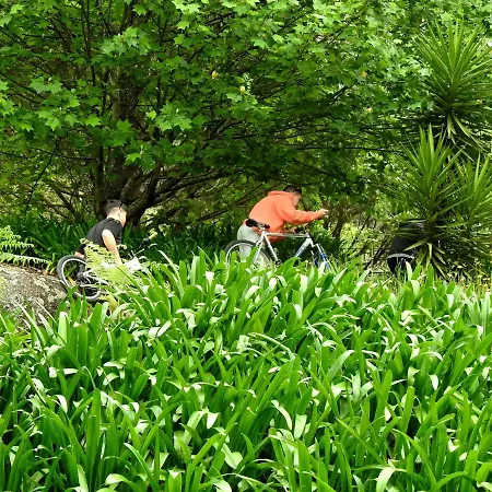 Quinta De S. Vicente 317 Vila Nova de Famalicão