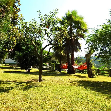 Quinta De S. Vicente 317 Feriehus *