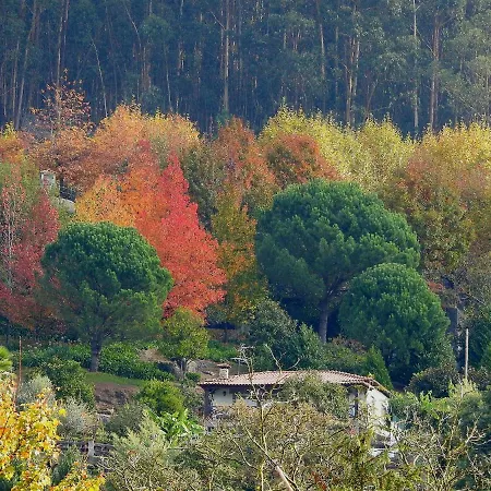 Quinta De S. Vicente 317 *
