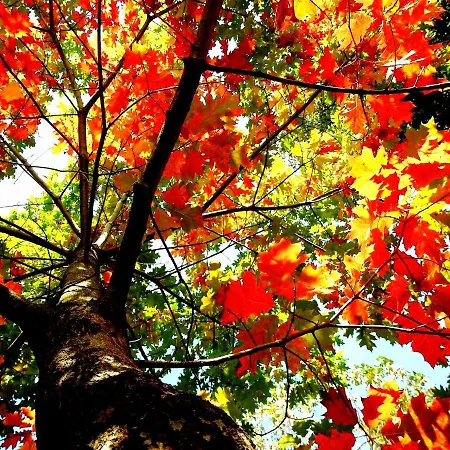 Quinta De S. Vicente 317 Vila Nova de Famalicão