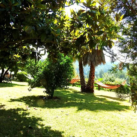 Quinta De S. Vicente 317 Feriehus *