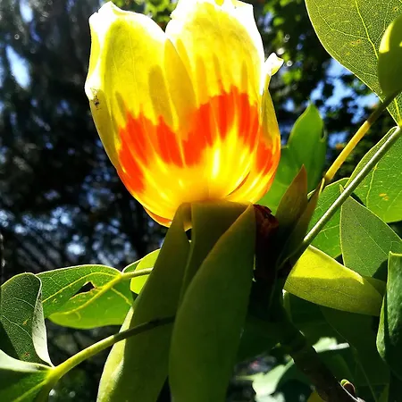 Quinta De S. Vicente 317 Vila Nova de Famalicao