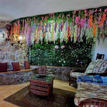 Quinta De S. Vicente 317