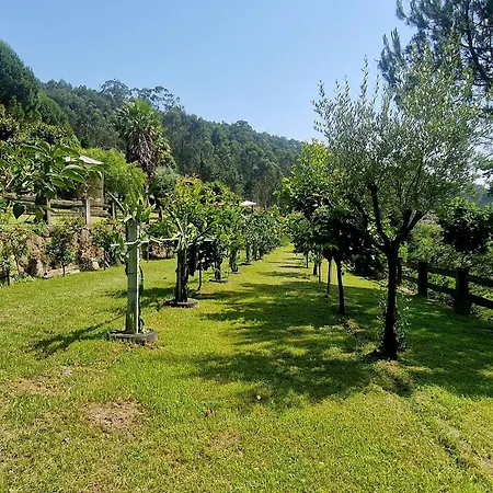 Quinta De S. Vicente 317 * Vila Nova de Famalicao