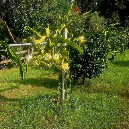 Quinta De S. Vicente 317 Vila Nova de Famalicão