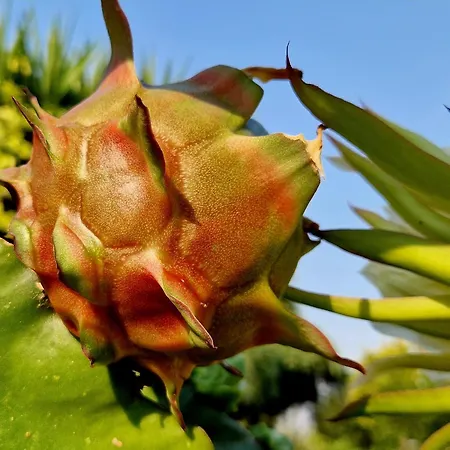 Quinta De S. Vicente 317 * Vila Nova de Famalicão