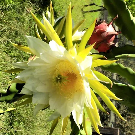 Quinta De S. Vicente 317 * Vila Nova de Famalicão