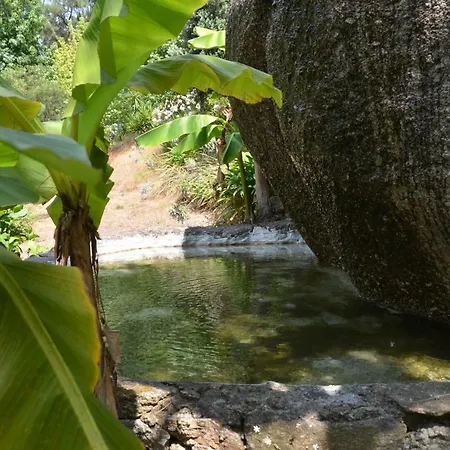 Quinta De S. Vicente 317 Feriehus *