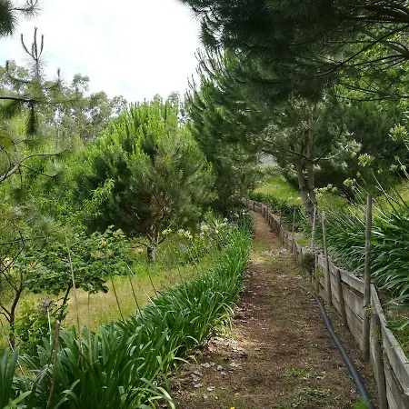 Quinta De S. Vicente 317