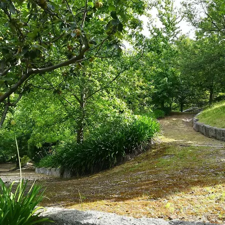 Quinta De S. Vicente 317 * Vila Nova de Famalicão