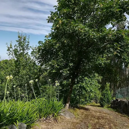 Quinta De S. Vicente 317 Vila Nova de Famalicão