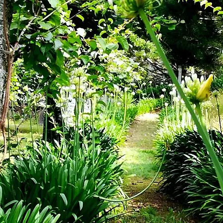 Quinta De S. Vicente 317