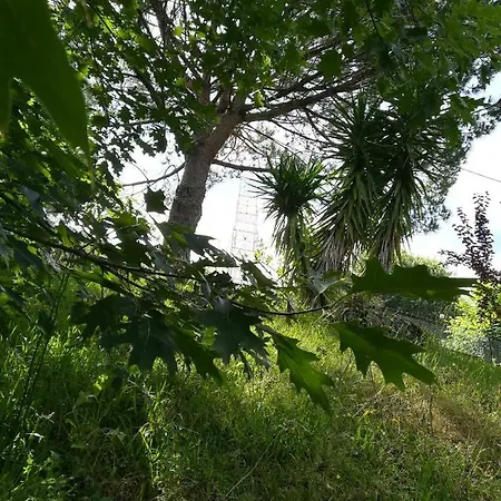 Quinta De S. Vicente 317 *