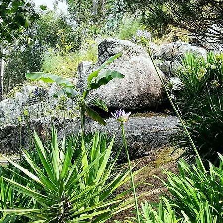 Quinta De S. Vicente 317