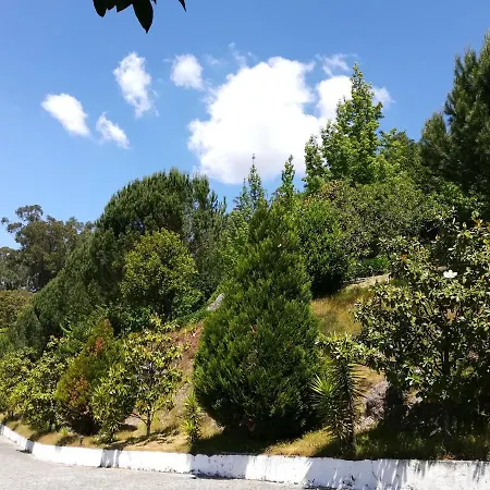 Quinta De S. Vicente 317 *