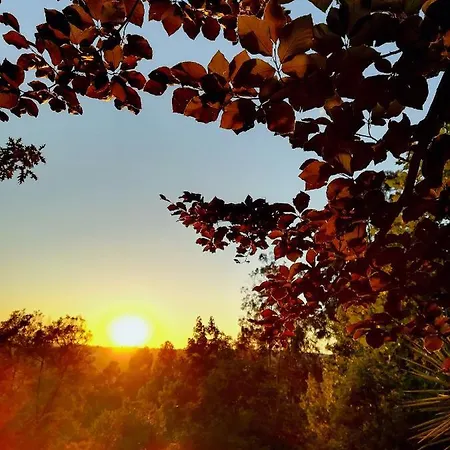 Quinta De S. Vicente 317 Feriehus Vila Nova de Famalicão