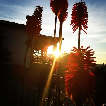 Quinta De S. Vicente 317 *