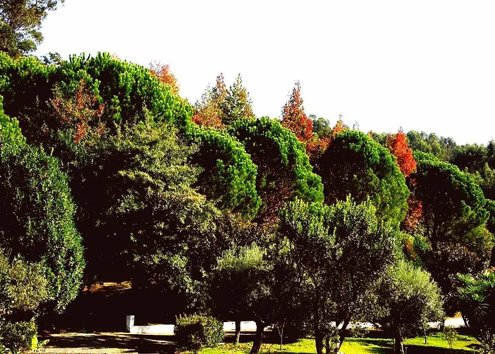 Tatil Evi Quinta De S. Vicente 317