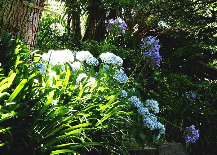 Quinta De S. Vicente 317 Vila Nova de Famalicão