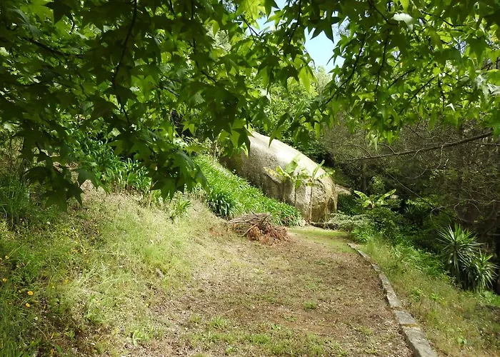 Quinta De S. Vicente 317 * Vila Nova de Famalicão