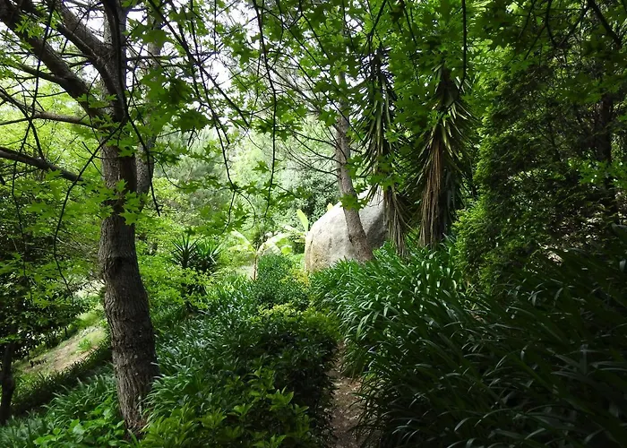 Dom wakacyjny Quinta De S. Vicente 317