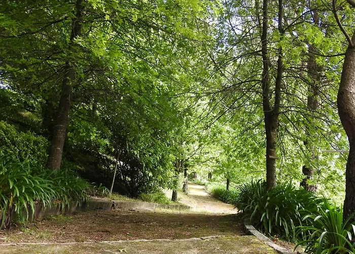 Dom wakacyjny Quinta De S. Vicente 317 *