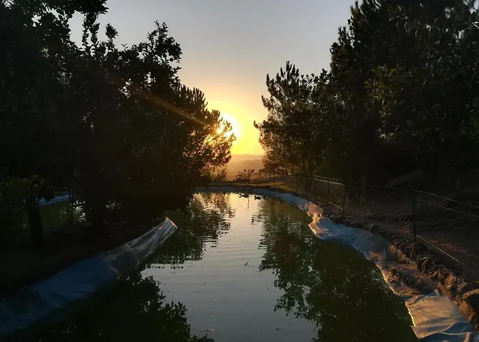 Dom wakacyjny Quinta De S. Vicente 317 *