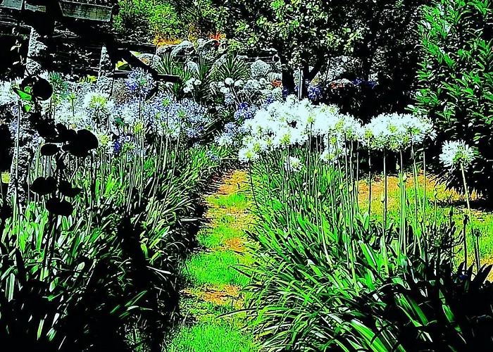 Quinta De S. Vicente 317 Vila Nova de Famalicão