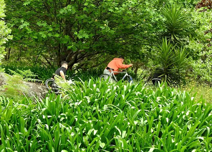 Quinta De S. Vicente 317 维拉诺瓦-德法马利