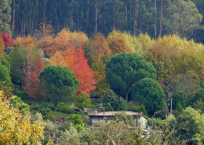 Quinta De S. Vicente 317 *
