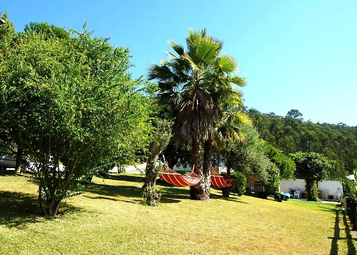 Quinta De S. Vicente 317 * 维拉诺瓦-德法马利