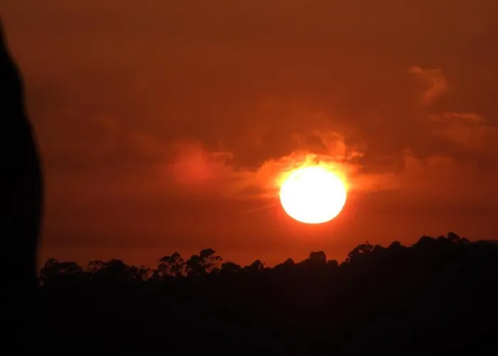 Quinta De S. Vicente 317 *