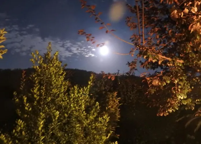 Quinta De S. Vicente 317 * Vila Nova de Famalicão