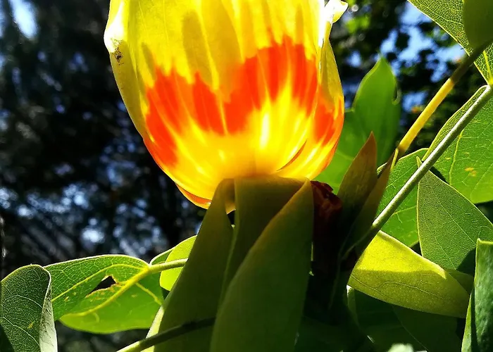 Quinta De S. Vicente 317 Vila Nova de Famalicão