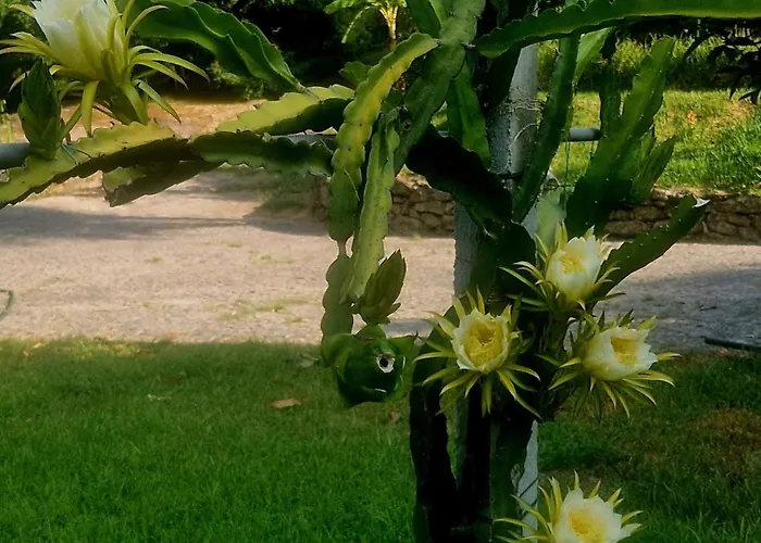 Quinta De S. Vicente 317 Dom wakacyjny *